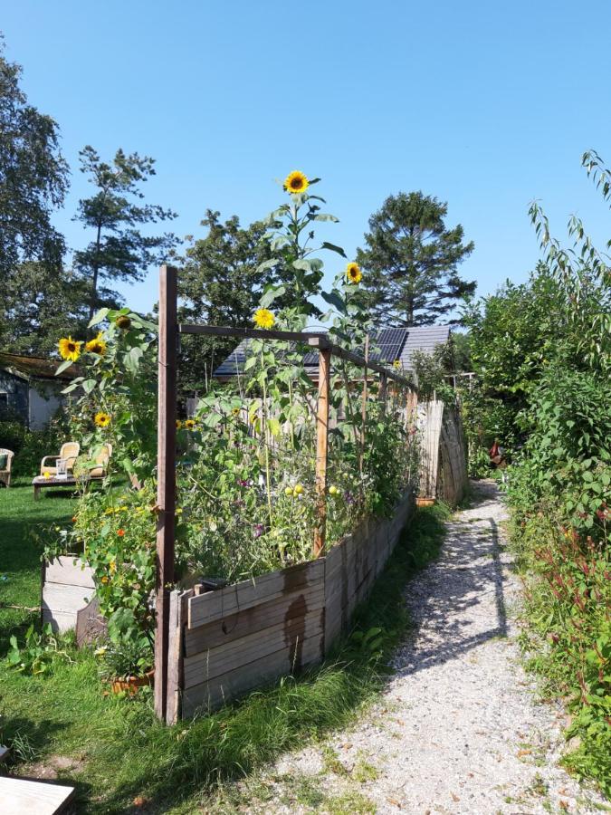 Ecolodge De Parel 슐 외부 사진