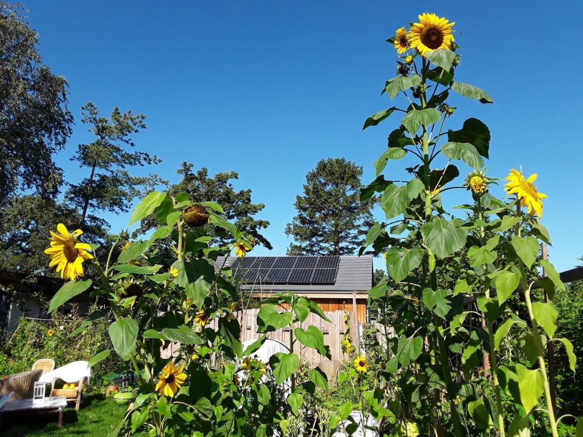 Ecolodge De Parel 슐 외부 사진